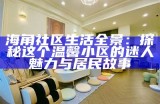 海角社区和谐交流活动，倾听居民心声促进友好互动