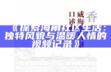 如何顺利进入海角上社区并获取入门指引