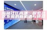 海角社区钻石分配方案解析与建议