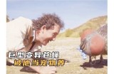 《免费观看小悟空电影的最佳平台推荐与观看方法》
