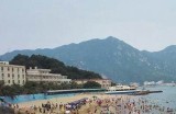 海角社区粉丝排行榜：发现最受欢迎的成员与互动情况