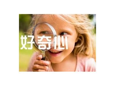 海角社区平台介绍：连接人与人新方式的探索与分享