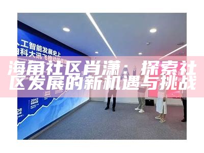 海角社区钻石分配方案解析与建议