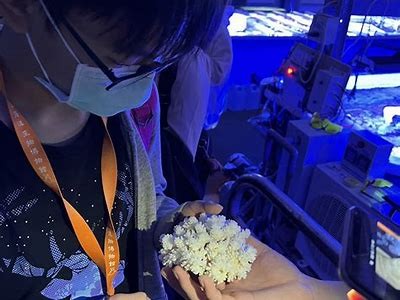 《桃图海角社区生活指南：探索宁静与和谐的宜居环境》