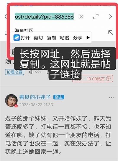 海角社区钻石分配方案解析与建议